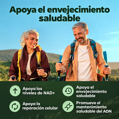 Nicotinamide Nad 80 Capsulas